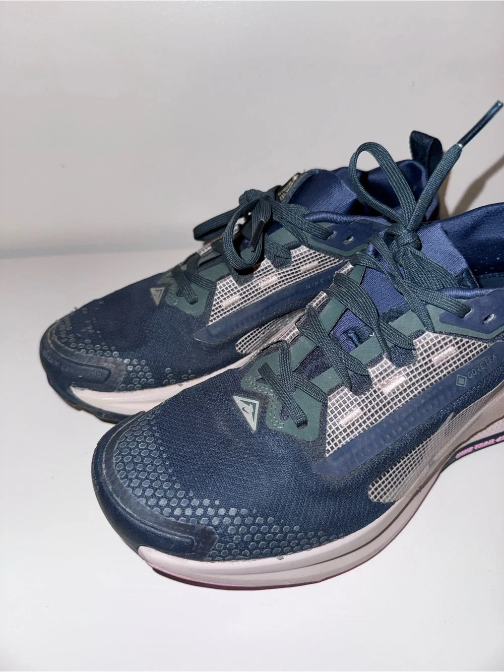 Nike Dark Gore-Tex Trail Shoes